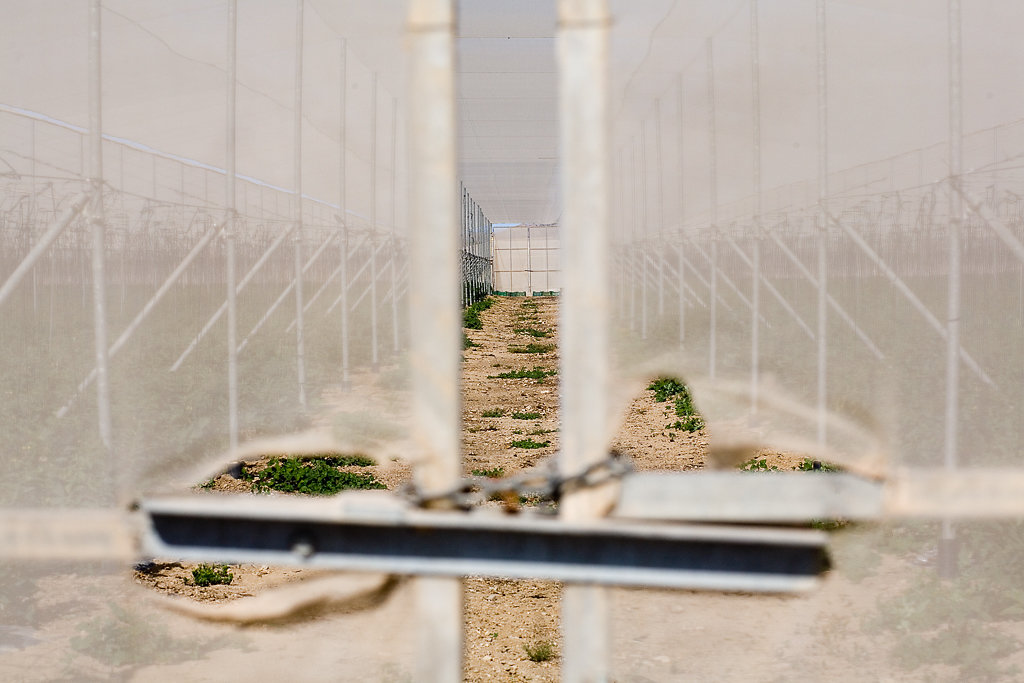 Treibhäuser in Almeria, Spanien